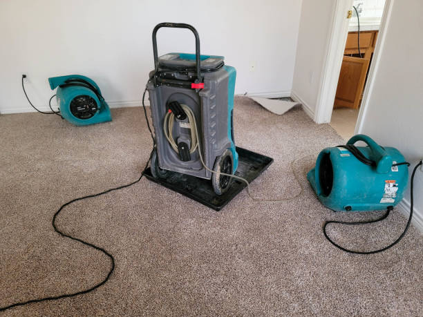 Best Water damage restoration near me  in Cassville, MO