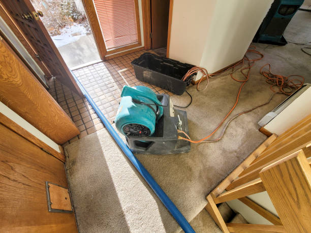 Best Water damage restoration mold remediation  in Cassville, MO