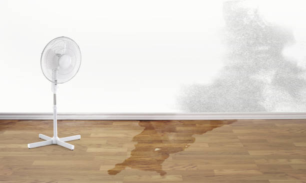 Best Ceiling water damage repair  in Cassville, MO