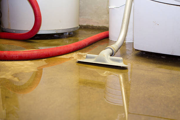Best Water damage restoration company  in Cassville, MO